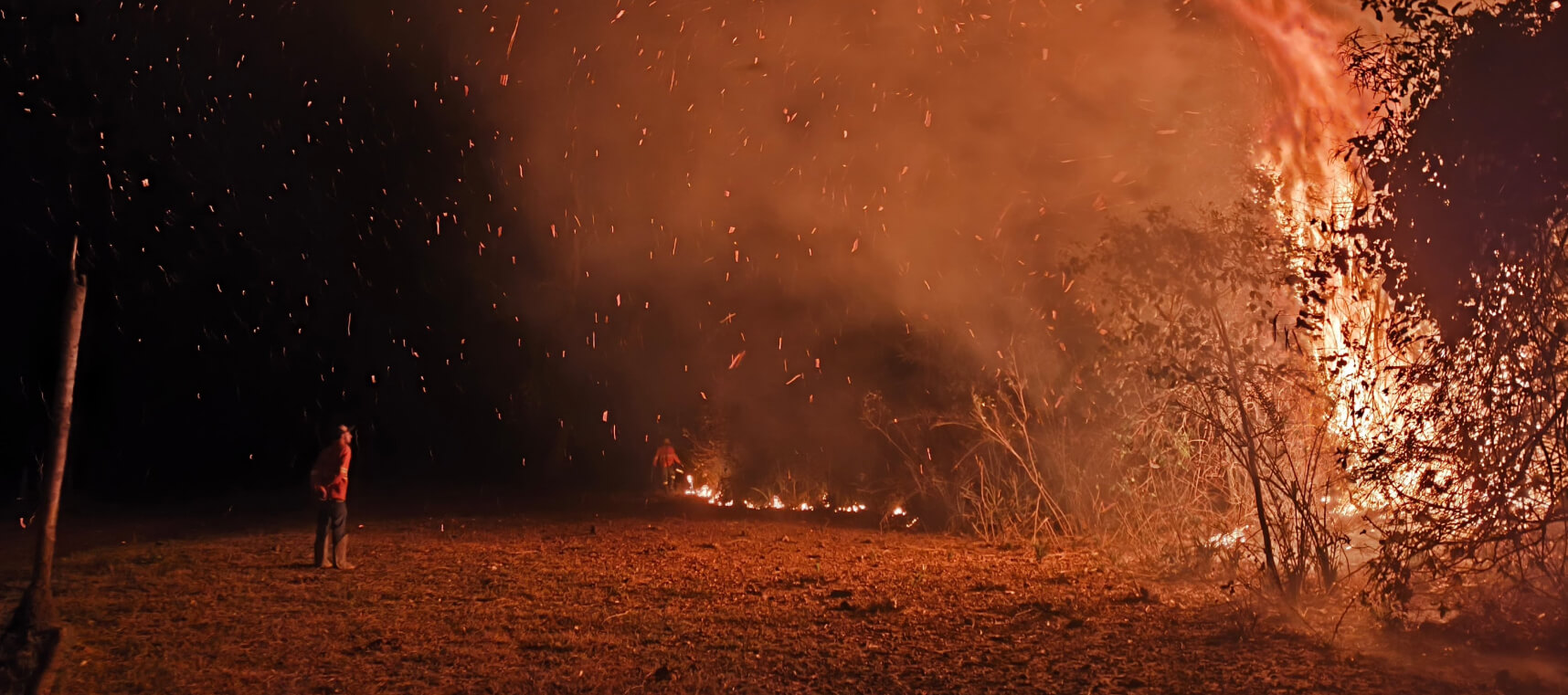 Wildfires